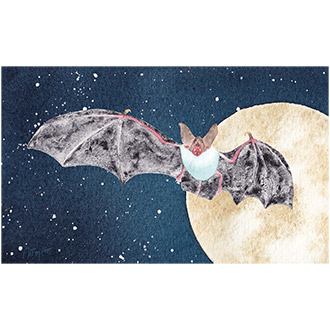 aquarelle animaux chauve souris aquarelle granuleuse fee magie #inktober2022 #fantastinktober 